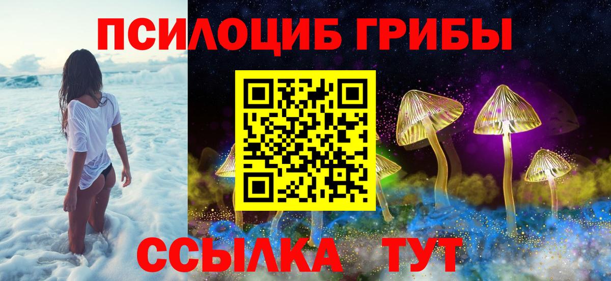 Псилоцибиновые грибы Psilocybe Владикавказ